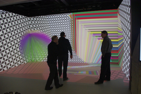 Composition With Multi-Coloured Fur Sphere CAVE